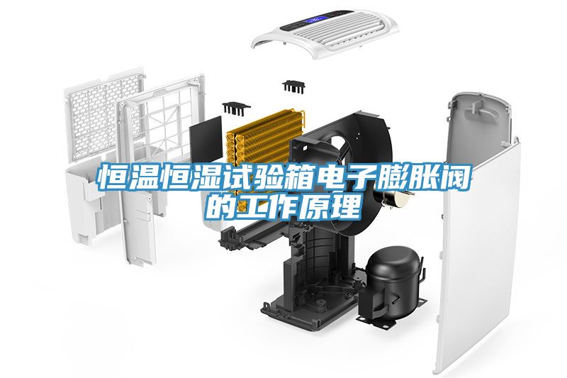 亚洲人成综合第一网站 恒温恒湿试验箱电子膨胀阀的工作原理