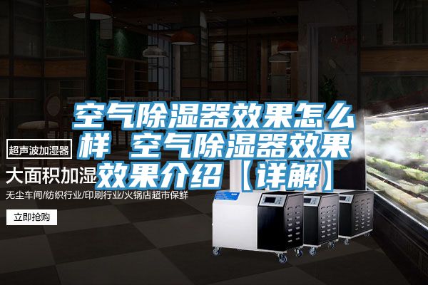 亚洲欧美一级特黄大片 空气除湿器效果怎么样 空气除湿器效果效果介绍【详解】