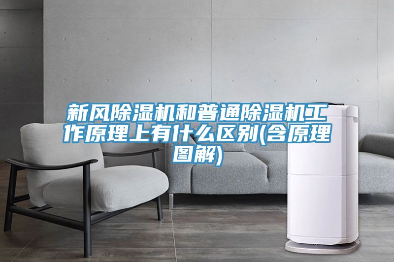 亚洲人成综合第一网站 新风除湿机和普通除湿机工作原理上有什么区别(含原理图解)