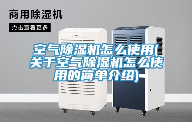 亚洲欧美一级特黄大片 空气除湿机怎么使用(关于空气除湿机怎么使用的简单介绍)