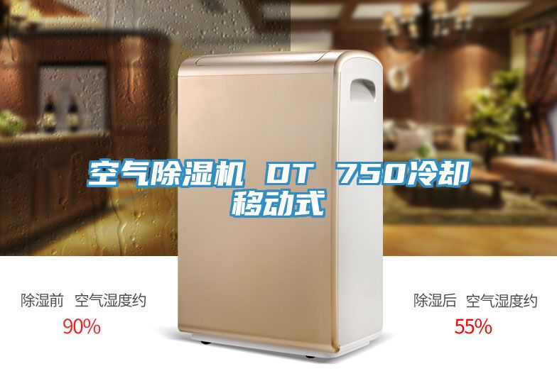 亚洲乱码一区二区三区 空气除湿机 DT 750冷却移动式