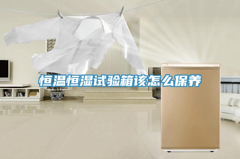亚洲乱码一区二区三区 恒温恒湿试验箱该怎么保养