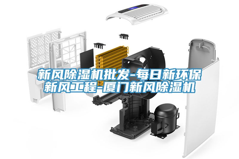 亚洲人成综合第一网站 新风除湿机批发-每日新环保新风工程-厦门新风除湿机