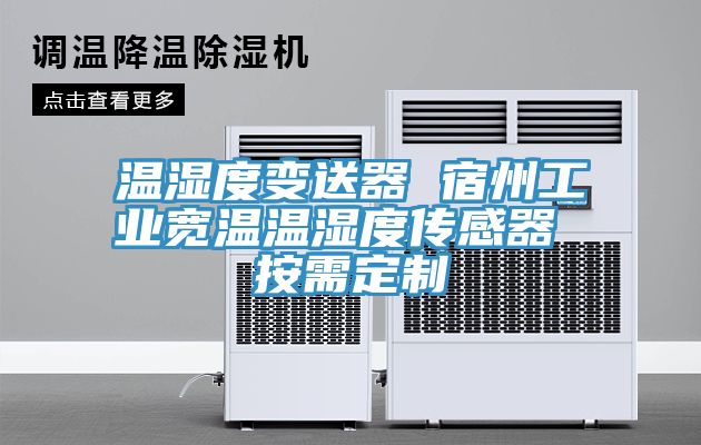 亚洲乱码一区二区三区 温湿度变送器 宿州工业宽温温湿度传感器 按需定制