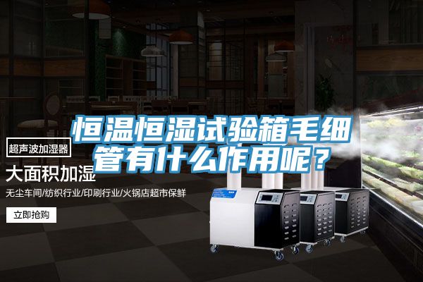 亚洲乱码一区二区三区 恒温恒湿试验箱毛细管有什么作用呢？