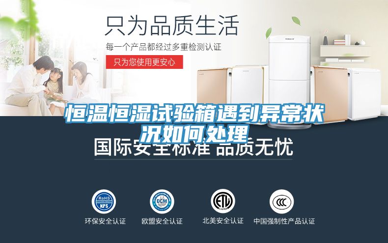 亚洲人成综合第一网站 恒温恒湿试验箱遇到异常状况如何处理