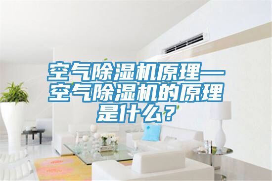 亚洲乱码一区二区三区 空气除湿机原理—空气除湿机的原理是什么？