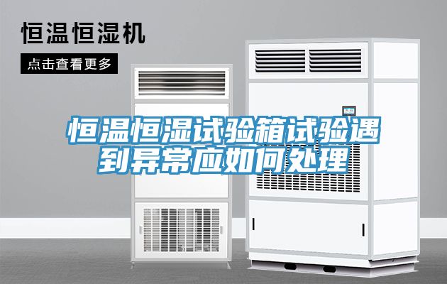 亚洲人成综合第一网站 恒温恒湿试验箱试验遇到异常应如何处理