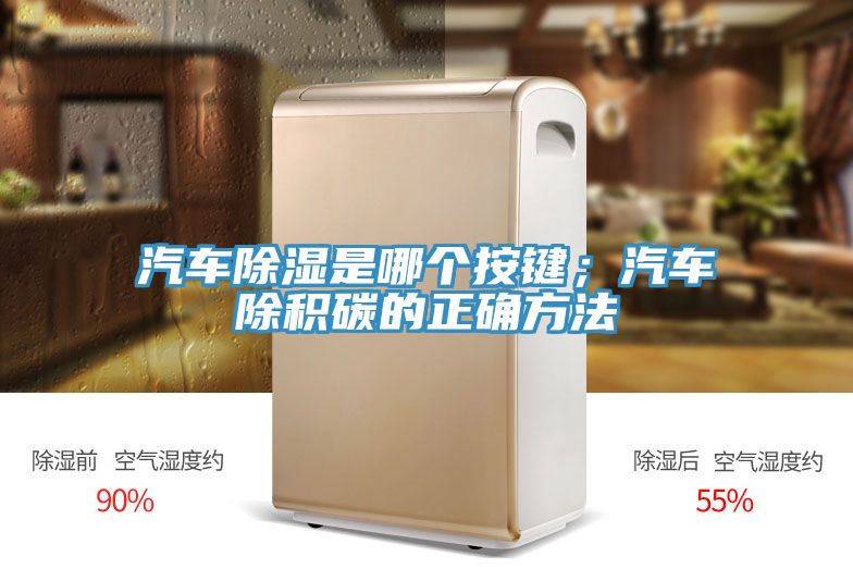 亚洲欧美一级特黄大片 汽车除湿是哪个按键；汽车除积碳的正确方法