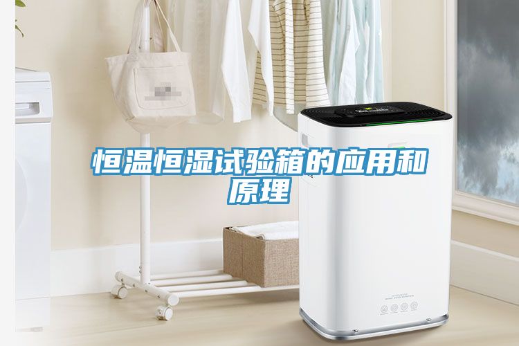 亚洲人成综合第一网站 恒温恒湿试验箱的应用和原理