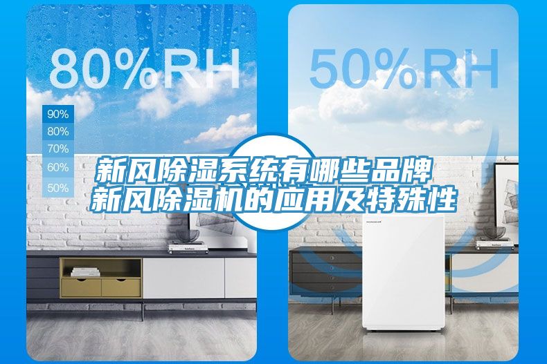 亚洲欧美一级特黄大片 新风除湿系统有哪些品牌 新风除湿机的应用及特殊性