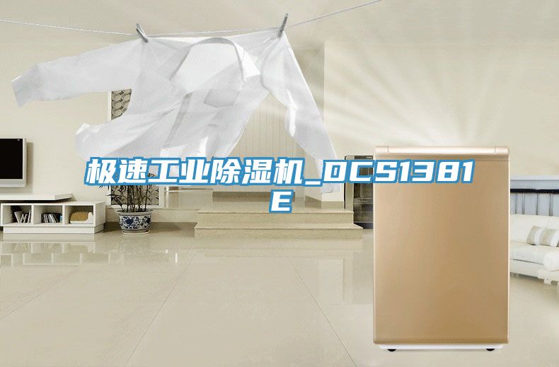 亚洲欧美一级特黄大片 极速工业除湿机_DCS1381E