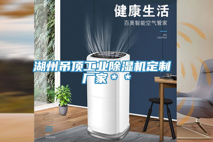 亚洲欧美一级特黄大片 湖州吊顶工业除湿机定制 厂家＊＊