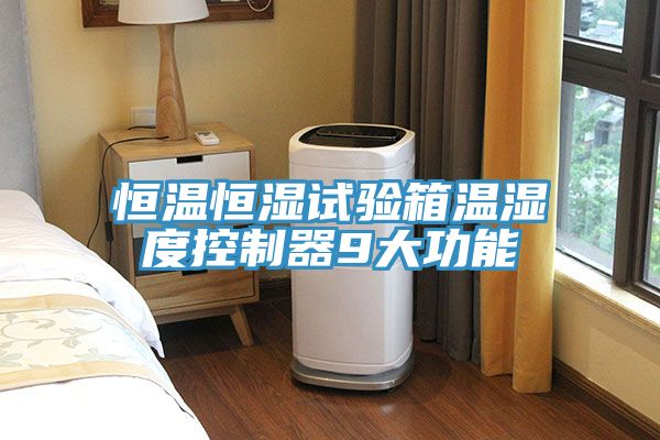 亚洲欧美一级特黄大片 恒温恒湿试验箱温湿度控制器9大功能