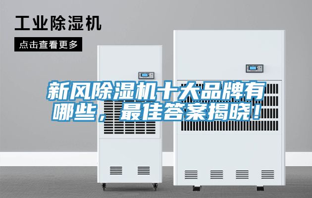 亚洲人成综合第一网站 新风除湿机十大品牌有哪些，最佳答案揭晓！