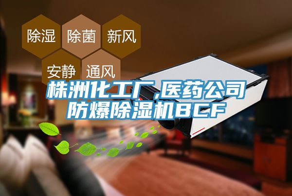 亚洲乱码一区二区三区 株洲化工厂,医药公司防爆除湿机BCF