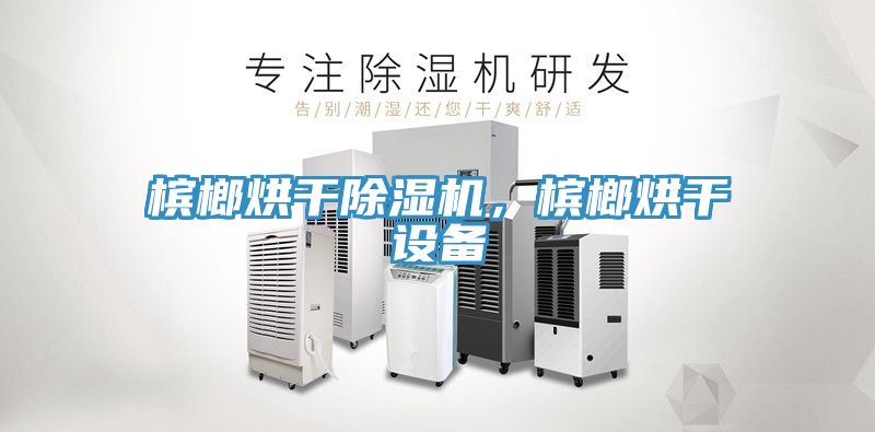亚洲欧美一级特黄大片 槟榔烘干除湿机，槟榔烘干设备
