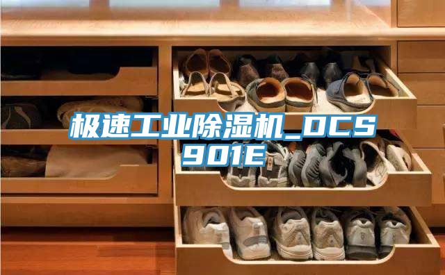 亚洲人成综合第一网站 极速工业除湿机_DCS901E