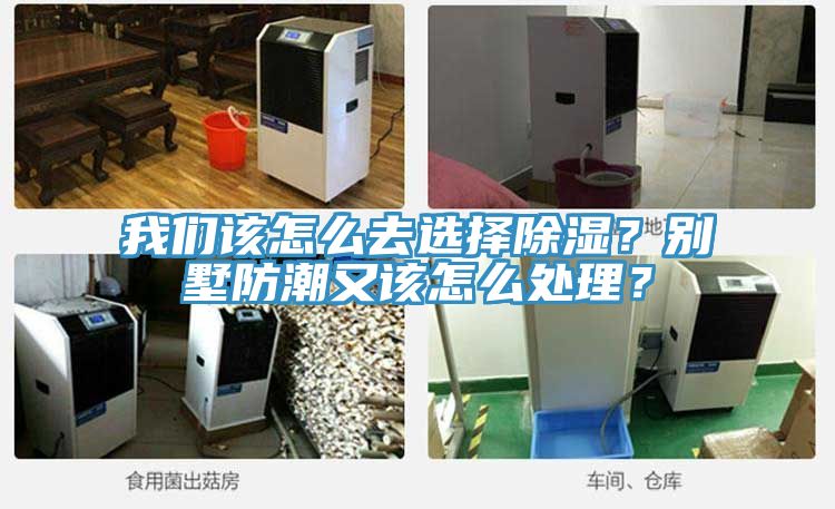 亚洲欧美一级特黄大片 我们该怎么去选择除湿？别墅防潮又该怎么处理？