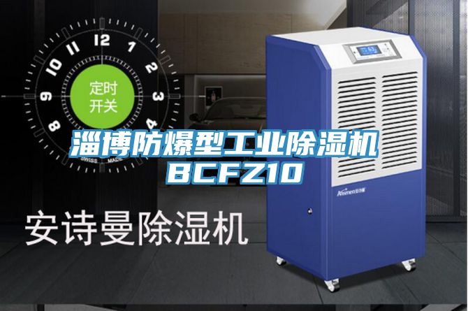 亚洲欧美一级特黄大片 淄博防爆型工业除湿机 BCFZ10
