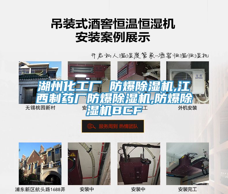 湖州化工厂 防爆除湿机,江西制药厂防爆除湿机,防爆除湿机BCF