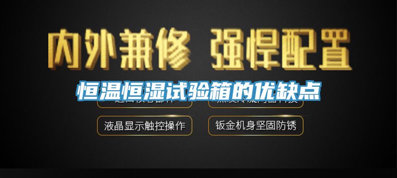 亚洲人成综合第一网站 恒温恒湿试验箱的优缺点