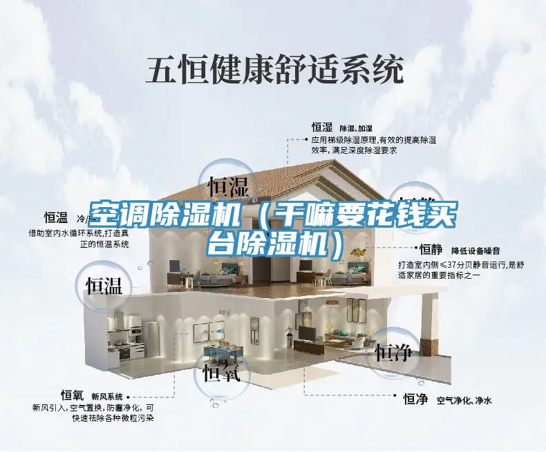亚洲乱码一区二区三区 空调除湿机（干嘛要花钱买台除湿机）