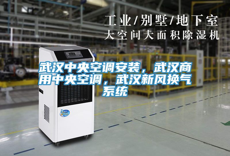 亚洲欧美一级特黄大片 武汉中央空调安装，武汉商用中央空调，武汉新风换气系统