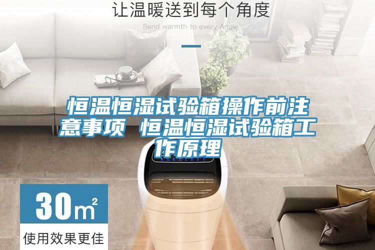 亚洲人成综合第一网站 恒温恒湿试验箱操作前注意事项 恒温恒湿试验箱工作原理