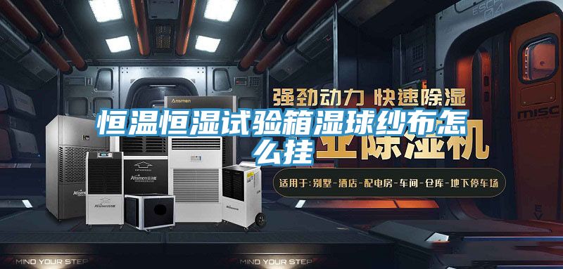 亚洲人成综合第一网站 恒温恒湿试验箱湿球纱布怎么挂