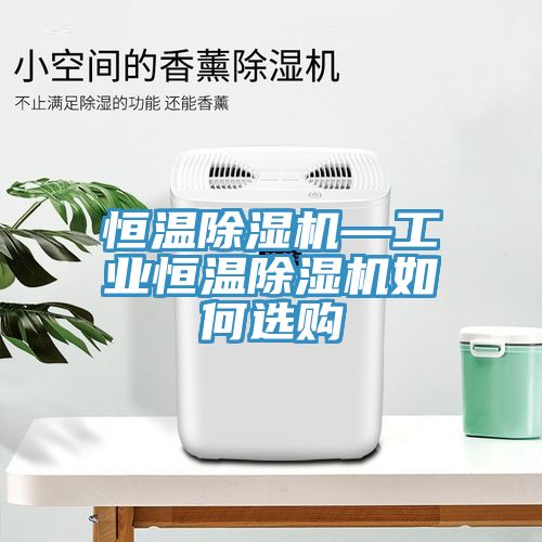 亚洲人成综合第一网站 恒温除湿机—工业恒温除湿机如何选购