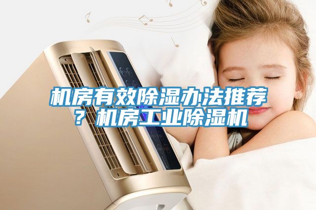 亚洲人成综合第一网站 机房有效除湿办法推荐？机房工业除湿机