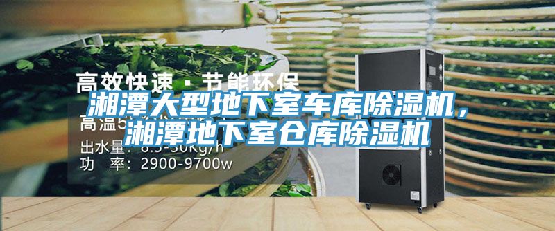 亚洲欧美一级特黄大片 湘潭大型地下室车库除湿机，湘潭地下室仓库除湿机