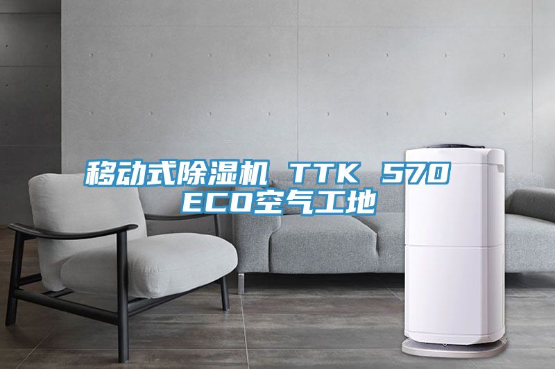 亚洲人成综合第一网站 移动式除湿机 TTK 570 ECO空气工地