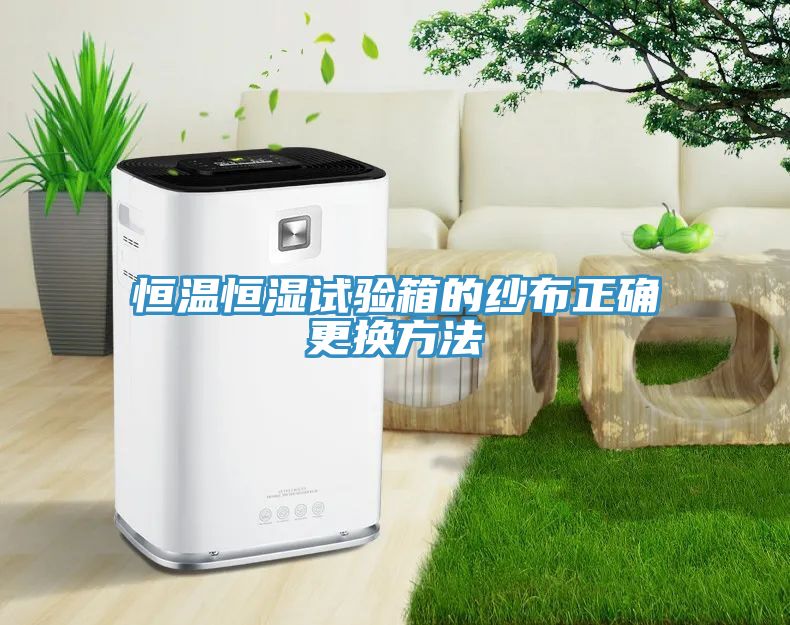 亚洲人成综合第一网站 恒温恒湿试验箱的纱布正确更换方法