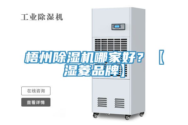 亚洲欧美一级特黄大片 梧州除湿机哪家好？【湿菱品牌】