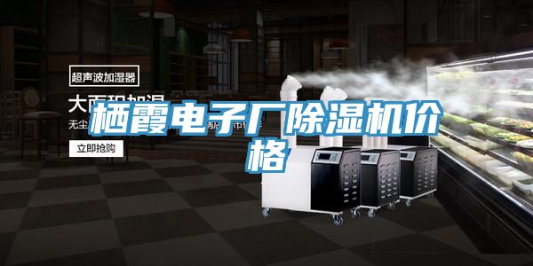 亚洲欧美一级特黄大片 栖霞电子厂除湿机价格
