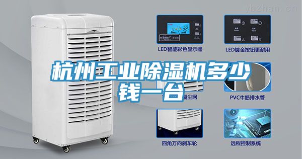 亚洲欧美一级特黄大片 杭州工业除湿机多少钱一台