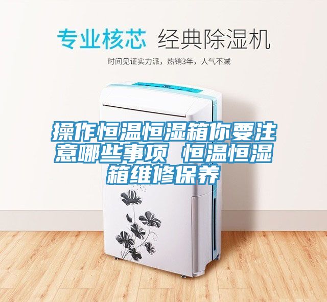 亚洲人成综合第一网站 操作恒温恒湿箱你要注意哪些事项 恒温恒湿箱维修保养