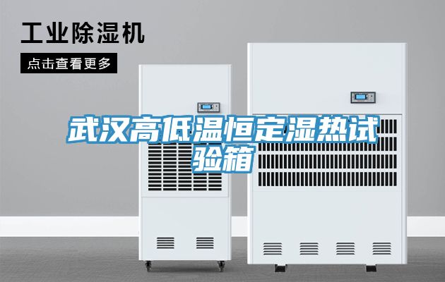 亚洲人成综合第一网站 武汉高低温恒定湿热试验箱