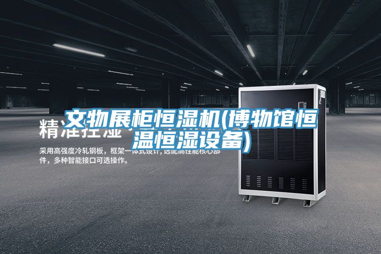 亚洲乱码一区二区三区 文物展柜恒湿机(博物馆恒温恒湿设备)
