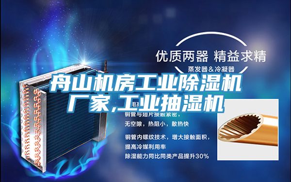 亚洲欧美一级特黄大片 舟山机房工业除湿机厂家,工业抽湿机