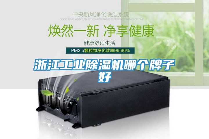 亚洲欧美一级特黄大片 浙江工业除湿机哪个牌子好