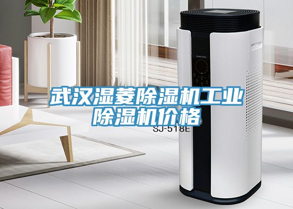 亚洲乱码一区二区三区 武汉湿菱除湿机工业除湿机价格