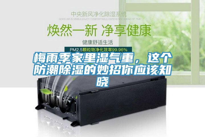 亚洲乱码一区二区三区 梅雨季家里湿气重，这个防潮除湿的妙招你应该知晓