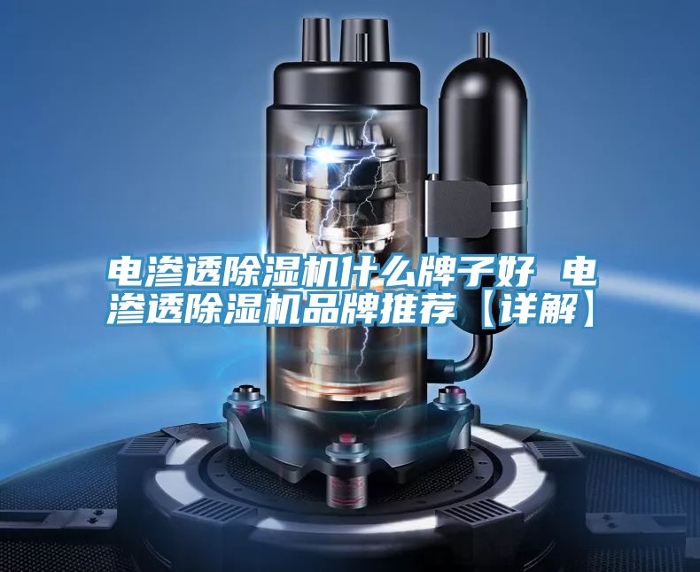 亚洲人成综合第一网站 电渗透除湿机什么牌子好 电渗透除湿机品牌推荐【详解】