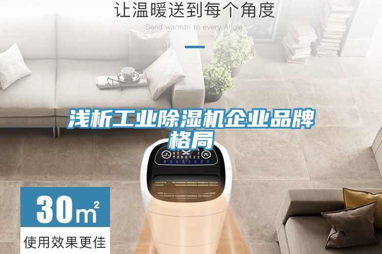 亚洲欧美一级特黄大片 浅析工业除湿机企业品牌格局