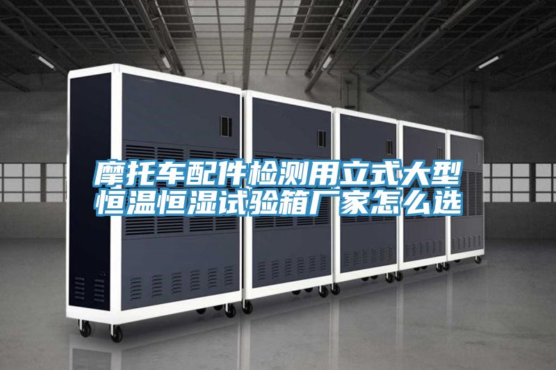 亚洲欧美一级特黄大片 摩托车配件检测用立式大型恒温恒湿试验箱厂家怎么选