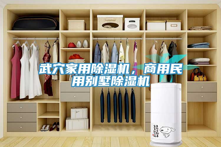 亚洲欧美一级特黄大片 武穴家用除湿机，商用民用别墅除湿机