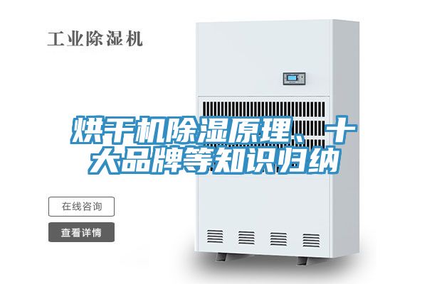 亚洲人成综合第一网站 烘干机除湿原理、十大品牌等知识归纳